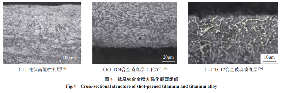 1667359672142724.jpg 1652567970442348.jpg