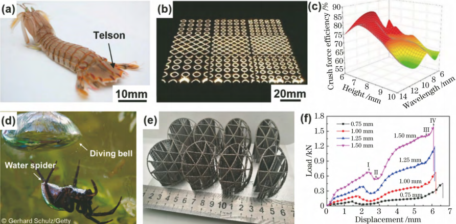 1676453103890140.png t13.png