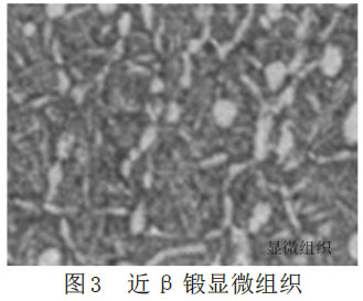 1677365548400901.jpg 3.jpg