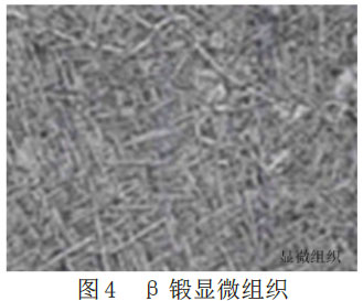 1677365557221080.jpg 4.jpg