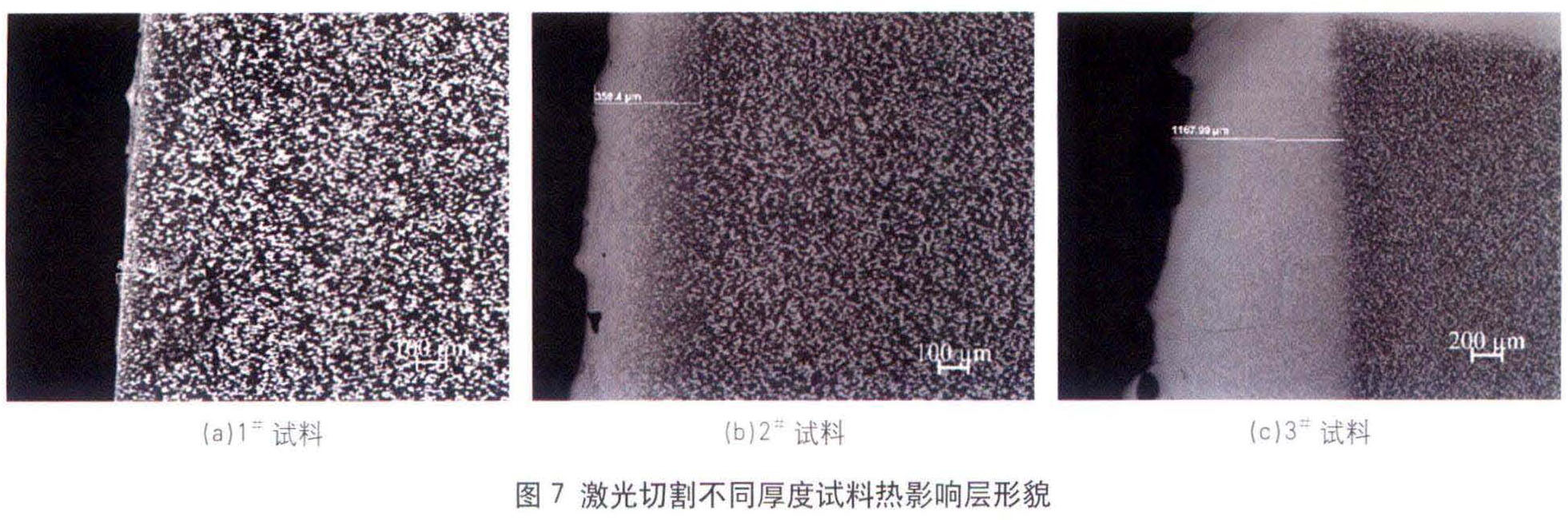 1681455909254458.jpg t7.jpg